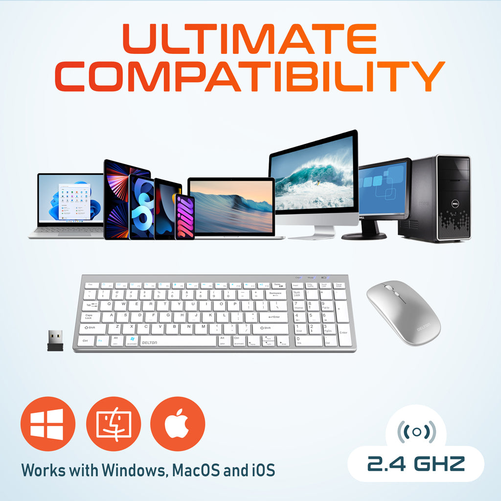 Delton N36 Wireless Computer Keyboard and Mouse Combo