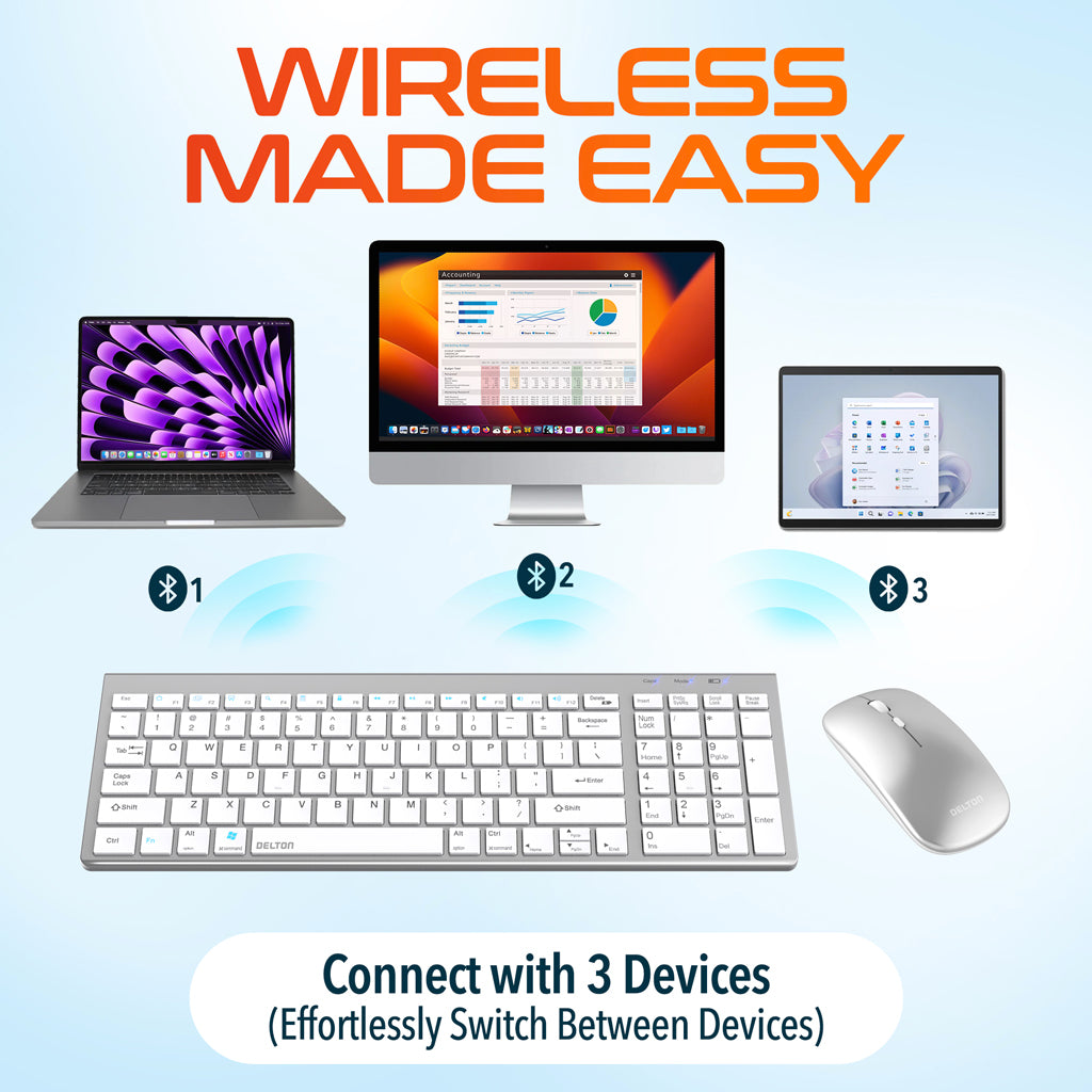 Delton N36 Wireless Computer Keyboard and Mouse Combo