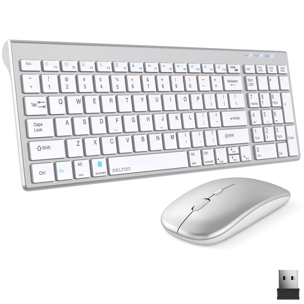 Delton N36 Wireless Computer Keyboard and Mouse Combo