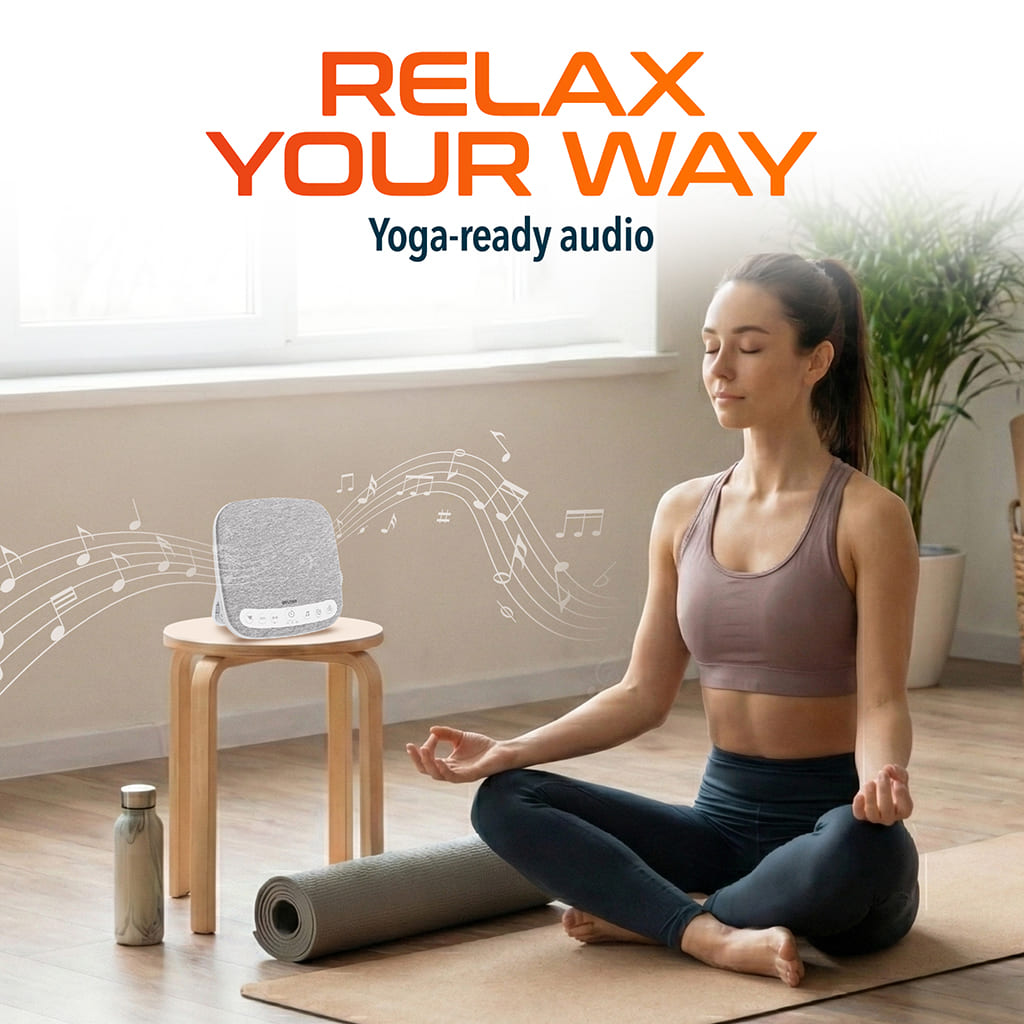 Delton WN9 Portable White Noise Sound Machine