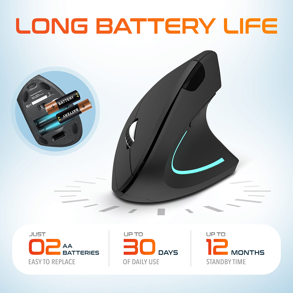 Delton S12 Ergonomic Wireless Battery Mouse