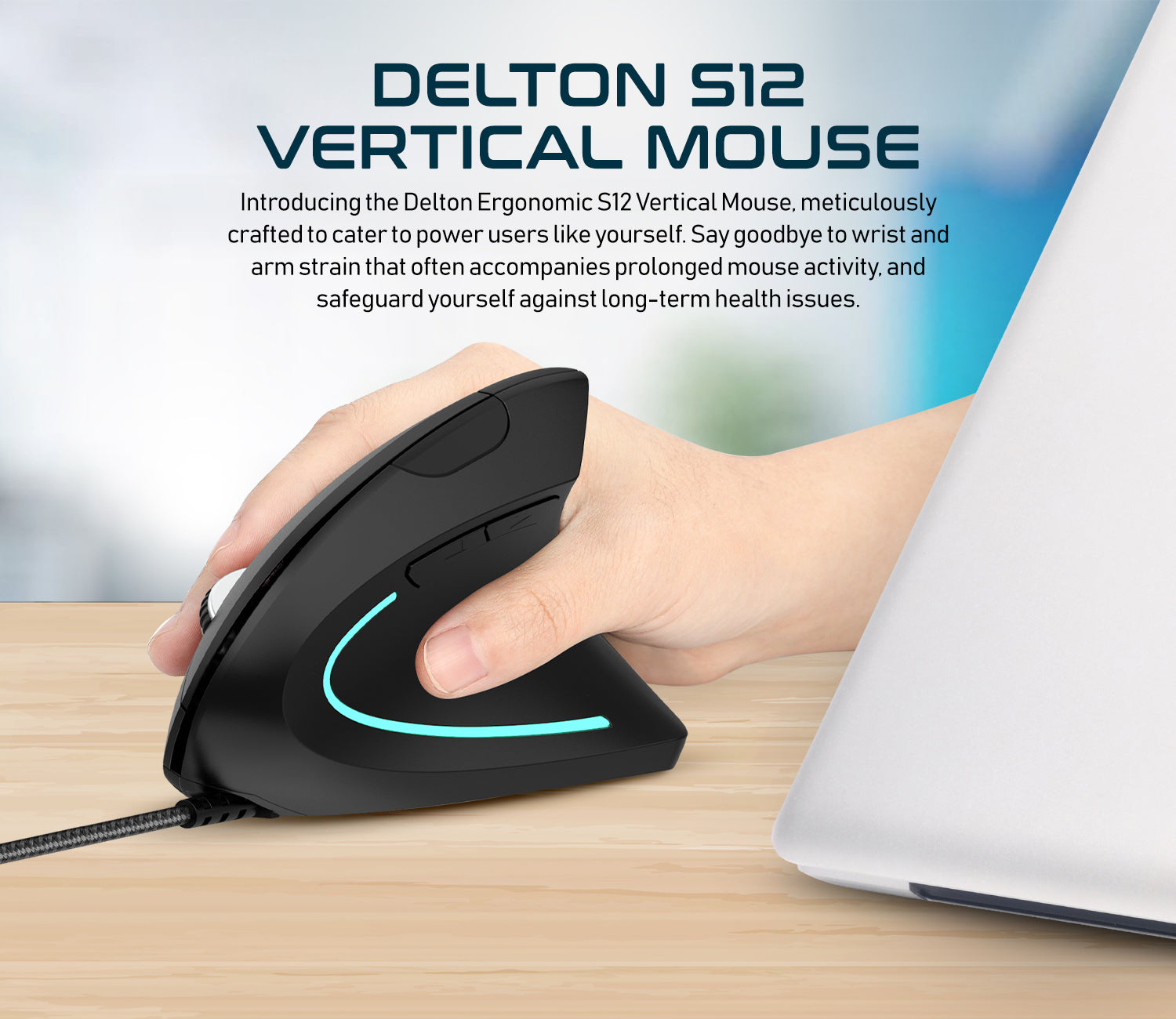 Delton S12 Ergonomic Wired Mouse